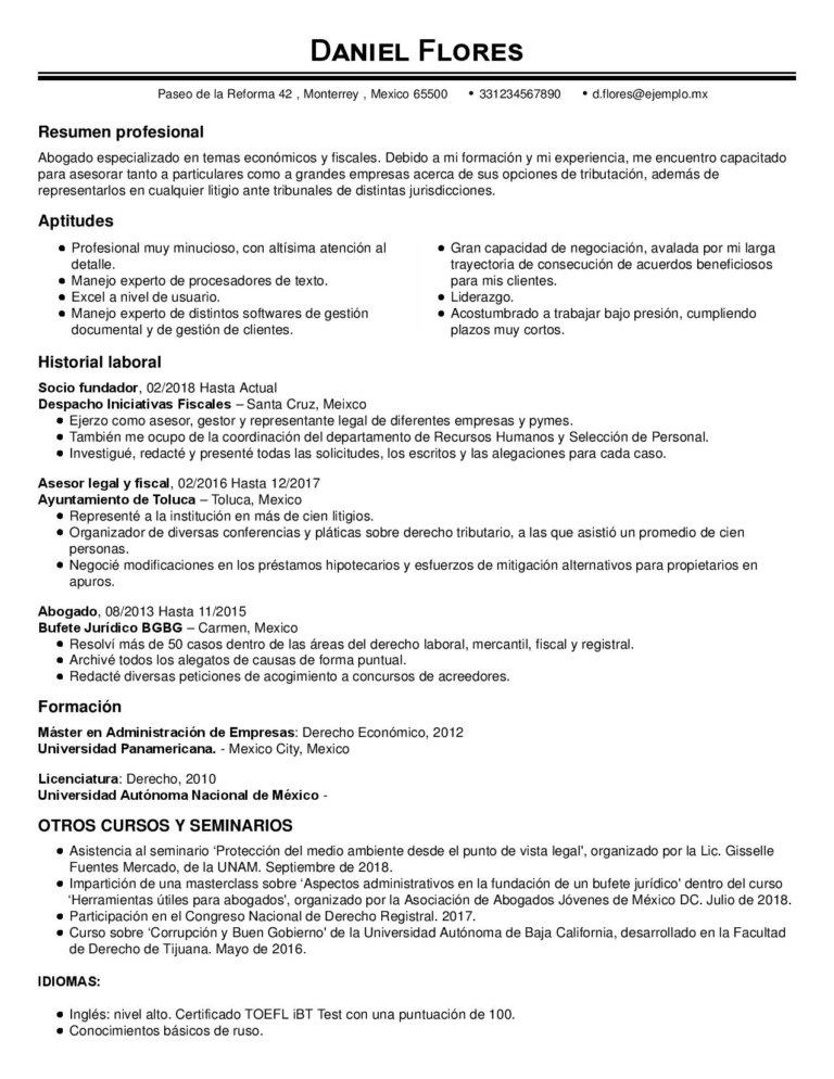como hacer profesional CV