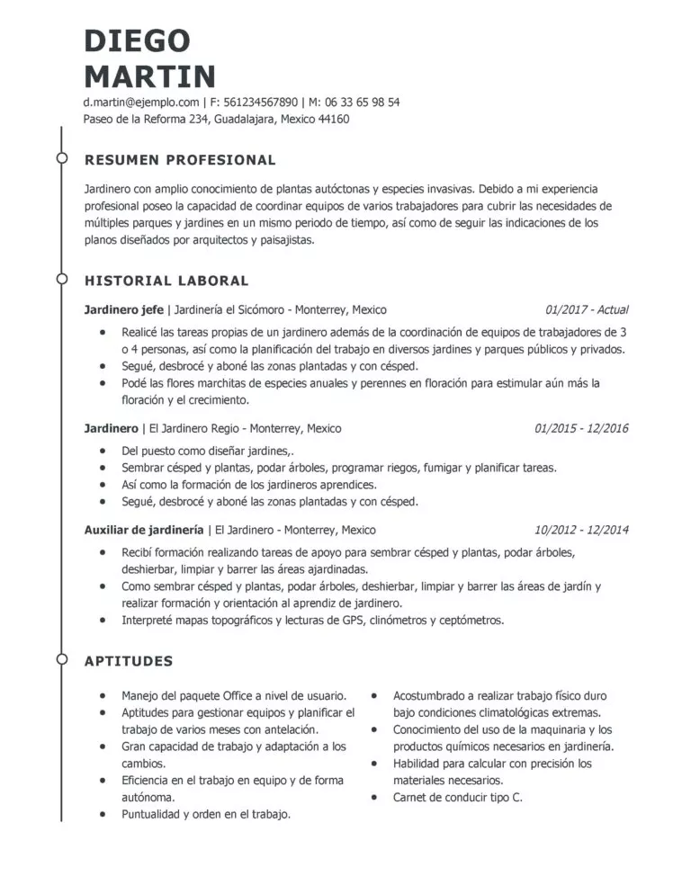 Curriculum Vitae En Formato Word Mi Cv Ideal