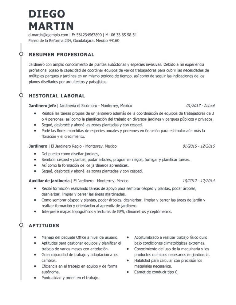 Plantillas De Curriculum Vitae Mi Cv Ideal