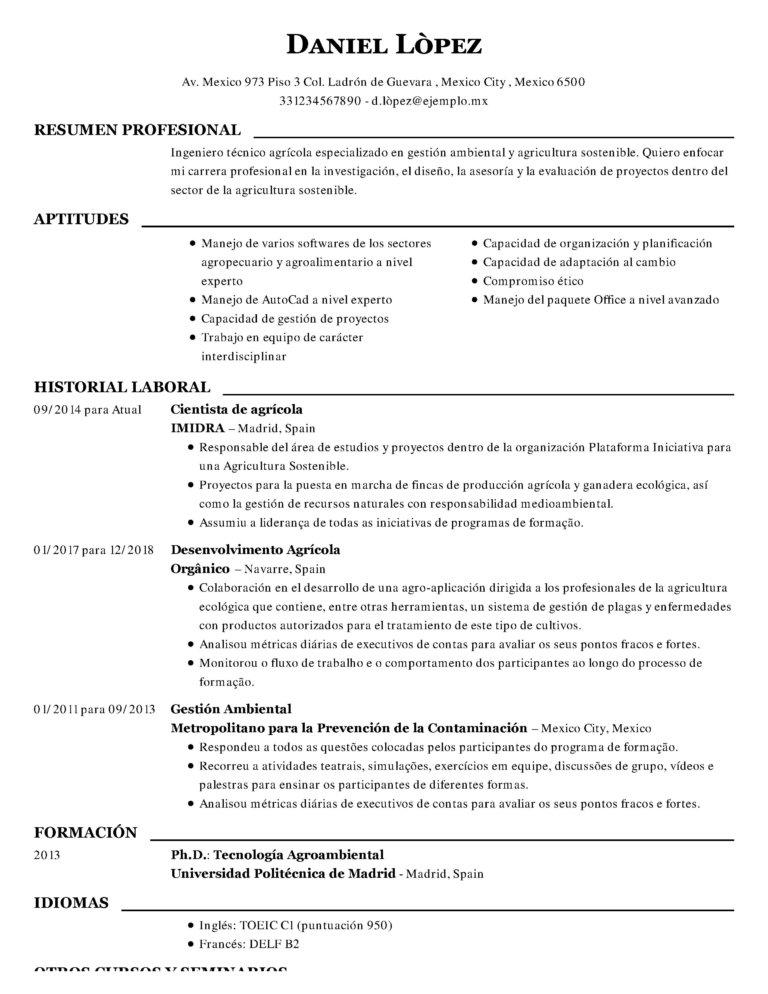 Curriculum Vitae En Formato Word Mi Cv Ideal